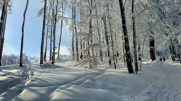 istock Winter in polish moutains 1423412391