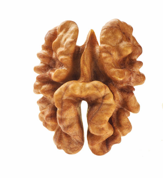 istock Single half of walnut , isolated on white background 1423415090