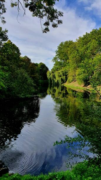 istock Nature in Poland 1423415167