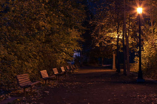 Dark Spooky Path at Night in Leavenworth, WA