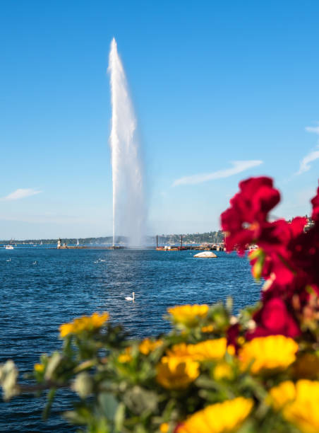 istock Water jet of Geneva 1423420319