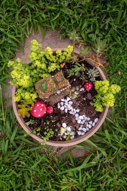istock Miniature Fairy Garden - High Angle 1423421970