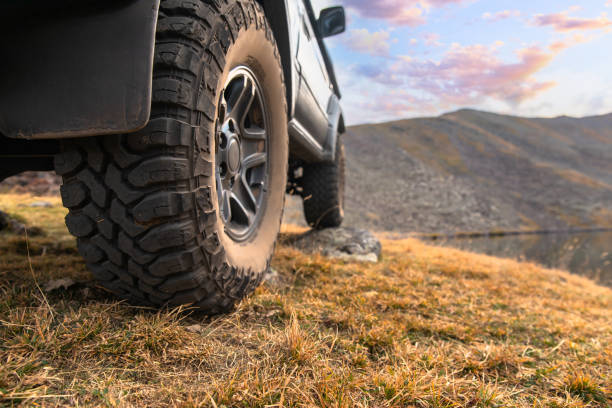 istock car in nature mountain landscape 1423423460