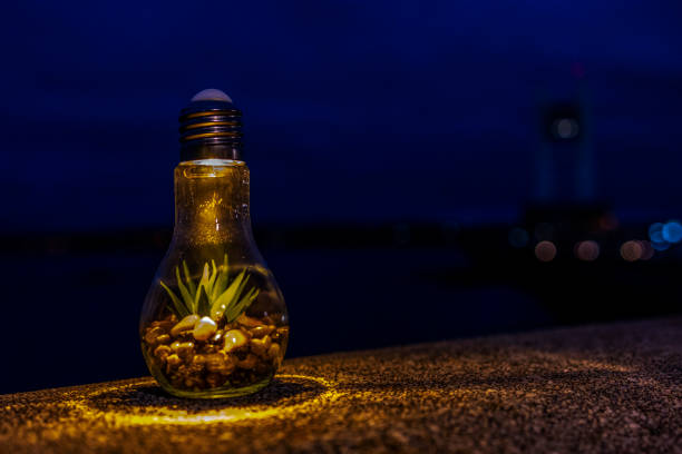 Alternative energy. Ecology and its preservation. Exploring the world. A light bulb at sunset. Civilization. Alternative energy. Modern technologies. ocean.