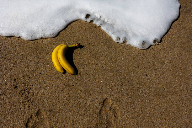 istock two bananas on the sand, sea foam. 1423427507