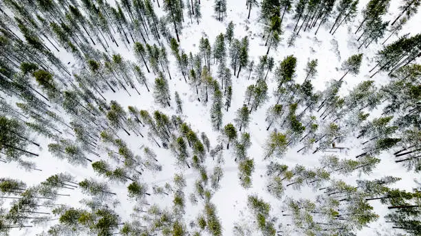 High quality aerial photos of snowfall on Lake Tahoe after a recent storm.