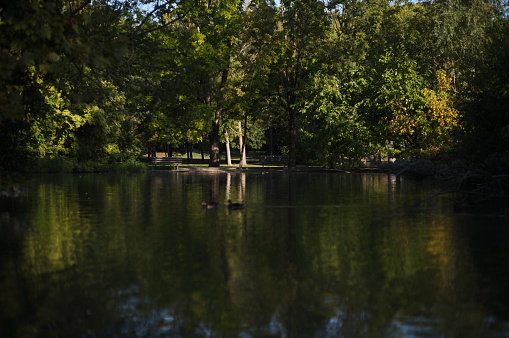 bench by lake