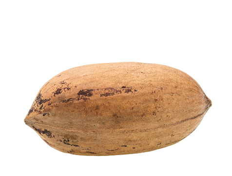 Peanut isolated on white background, macro shot