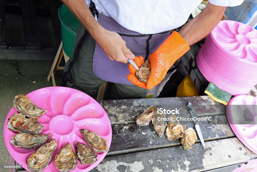 oyster seller opening shells with knitted glove and sharp knife in the fish market oyster seller opening shells with knitted glove and knife in the fish market stall Animal Shell Stock Photo