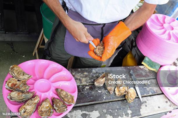 Oyster Seller Opening Shells With Knitted Glove And Sharp Knife In The Fish Market Stock Photo - Download Image Now