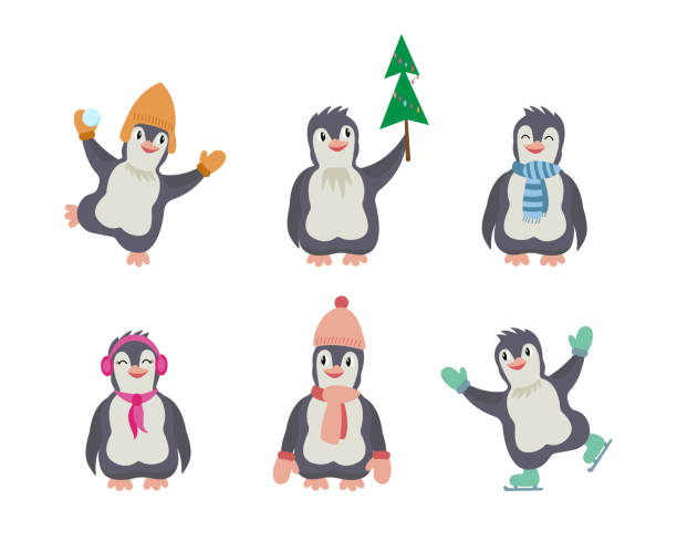 illustrazioni stock, clip art, cartoni animati e icone di tendenza di collezione natalizia di simpatici pinguini dei cartoni animati con vestiti caldi. illustrazione vettoriale invernale per bambini stampa. - fairy penguin