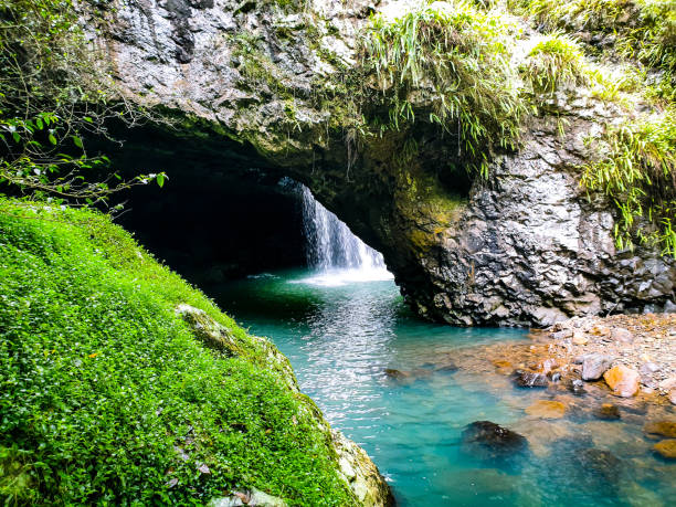 natural bridge - tropical rainforest waterfall rainforest australia stock-fotos und bilder