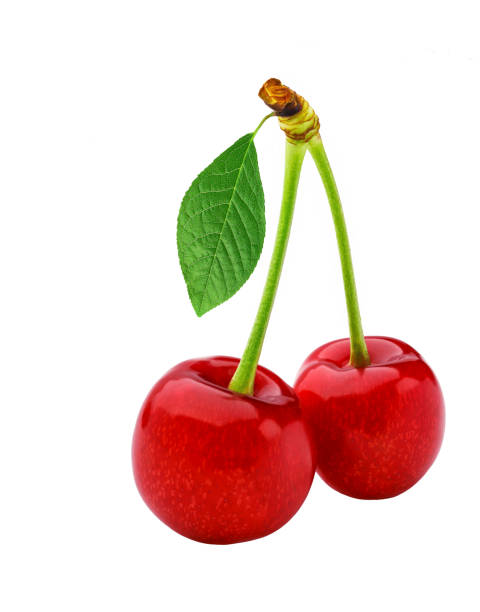 istock Two cherries and isolated on a white background. Cherries isolated on white background. 1423433701