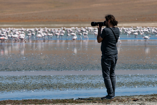 nature photographer taking pictures of a flock of flamingos from the lakeside. The photographer is standing. Shot with a full frame camera on a hot and sunny day.