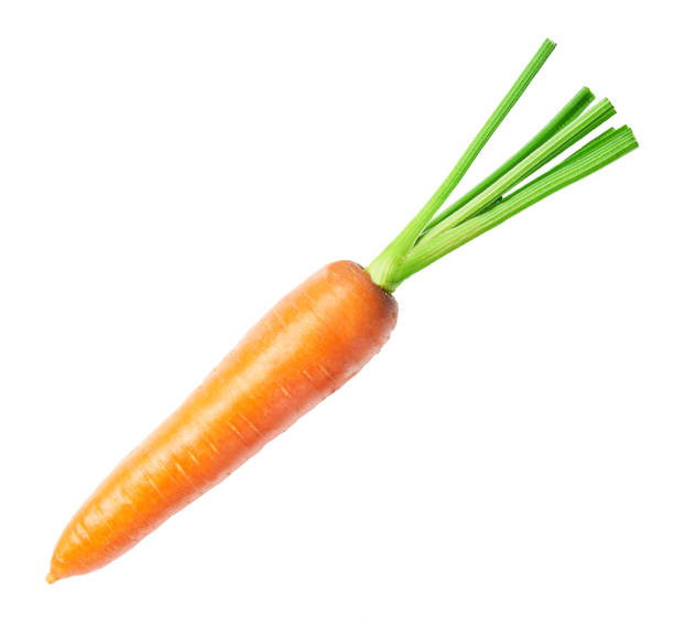 Fresh carrot isolated on white background. Close up of carrot. Full depth of field. stock photo