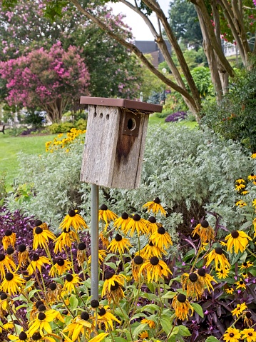 Rustic birdhouse stands in the formal gardens around Lake Junaluska, North Carolina. Colorful black eyed Susan's and other floral shrubs and trees surrounds the house for birds.