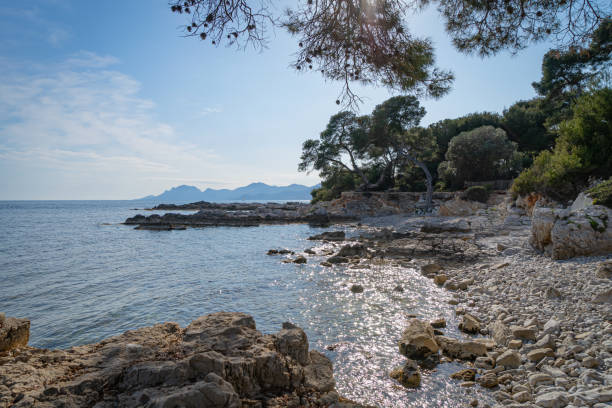 istock Island Sainte-Marguerite. 1423440797
