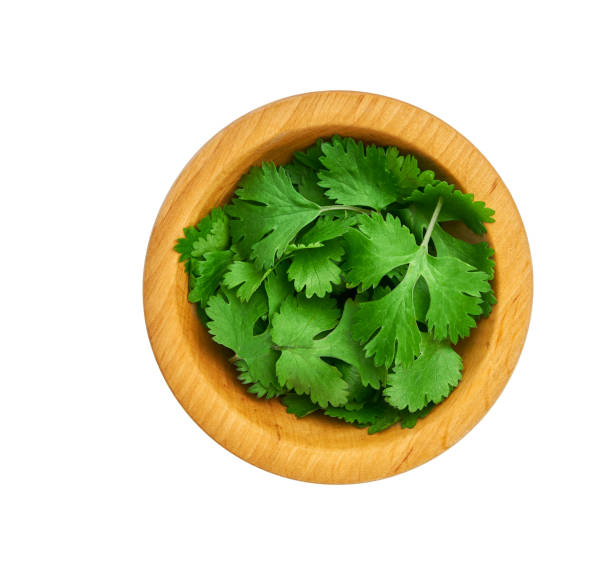 istock Fresh cilantro a wooden bowl isolated on a white background. Top view 1423442420
