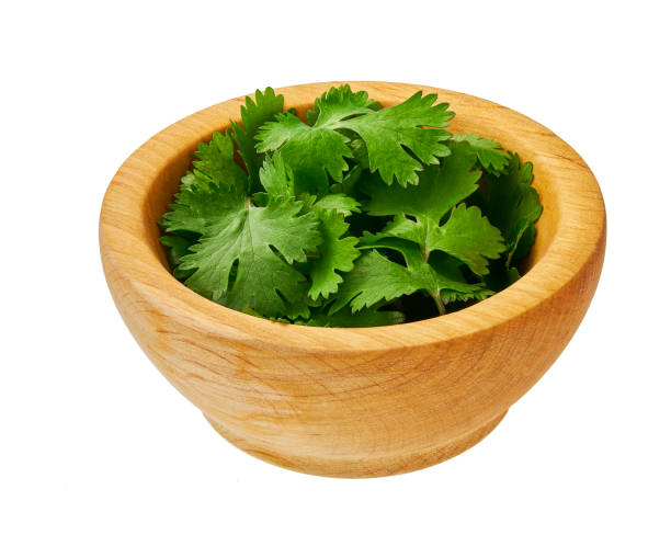 istock Fresh cilantro a wooden bowl isolated on a white background. 1423442441