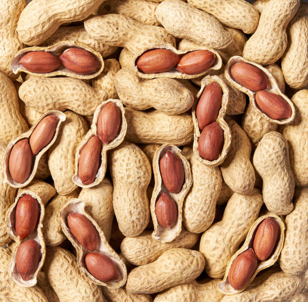 istock Shelled and unshelled peanut   background close-up. Top view. 1423445033