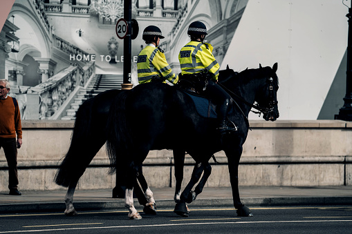 Police Officers riding horses take a stroll through Hermann Park. Houston, Texas Summer, 2022
