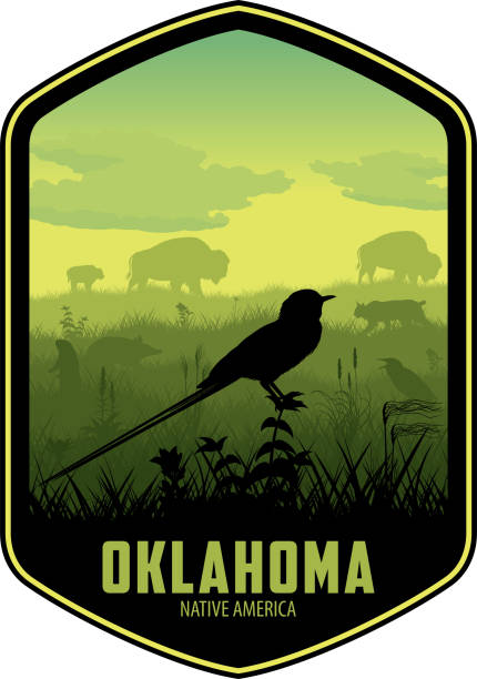 ilustrações, clipart, desenhos animados e ícones de etiqueta vetorial de oklahoma com tesoura cauda flycatcher e prarie - oklahoma