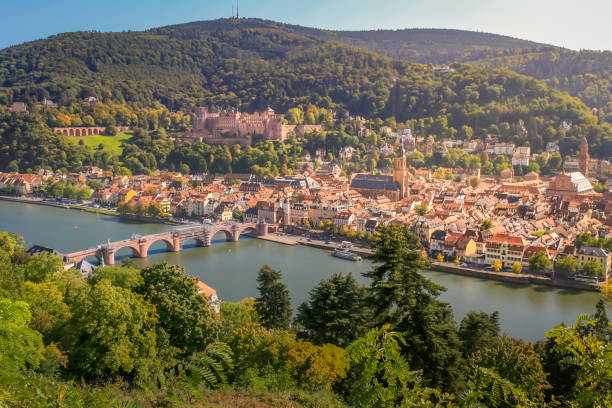istock Medieval Heidelberg old town cityscape from above, Germany 1423448893