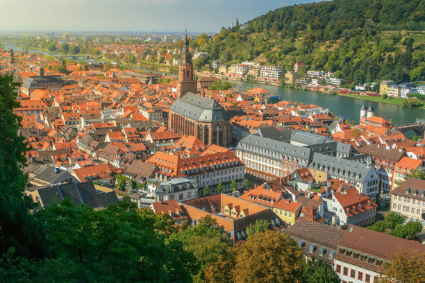 istock Medieval Heidelberg old town cityscape from above, Germany 1423448902