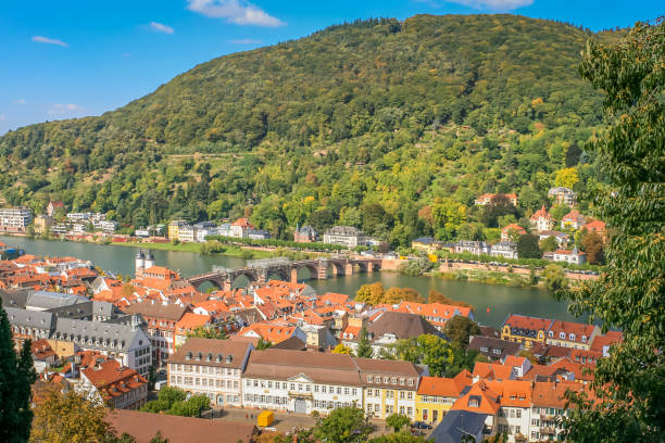 istock Medieval Heidelberg old town cityscape from above, Germany 1423448933