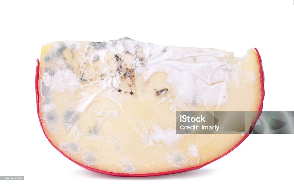 Moldy gouda cheese - Lizenzfrei Bakterie Stock-Foto