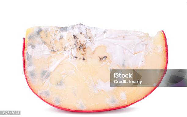 Moldy Gouda Cheese Stockfoto und mehr Bilder von Bakterie - Bakterie, Fotografie, Freisteller – Neutraler Hintergrund