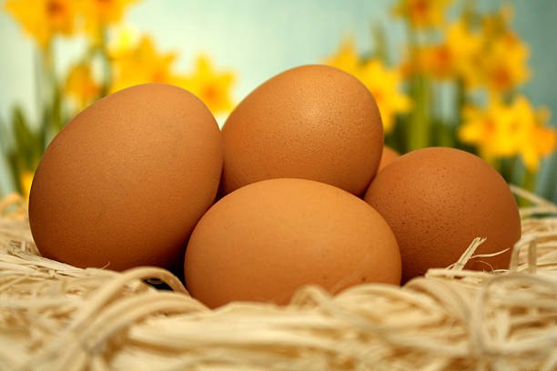 eggs in a basket stock photo