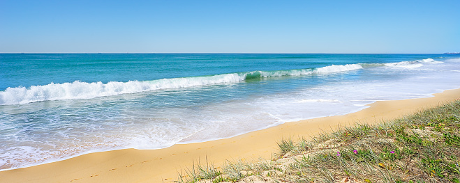 A panoramic view of surf waves breaking and rolling into shore on the sandy beach at Buddina on the Sunshine Coast in Queensland.