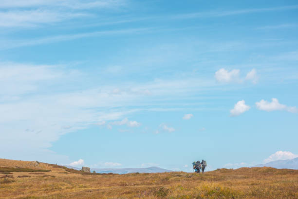 mehrere touristen mit großen rucksäcken und trekkingstöcken folgen der route irgendwo im altai-gebirge. gruppe von menschen mit großen rucksäcken im herbst bergwanderung. russland, republik altai, 26. august 2021 - treking poles stock-fotos und bilder