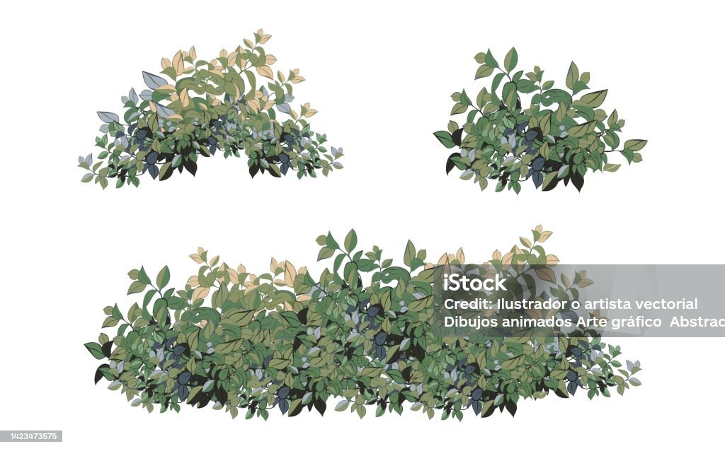 Boxwood Graphics Web Stock Illustration - Download Image Now - Boxwood, Cut Out, Flower ...