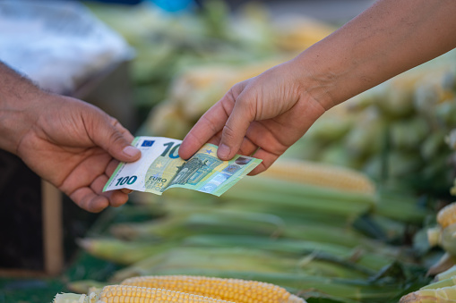 Close up photo of human hands giving and receiving 100 Euro Note in farmer's market for shopping. Corns with green leaves are seen blurred on the background. Selective focus on hands. Shot in outdoor with a full frame mirrorless camera.