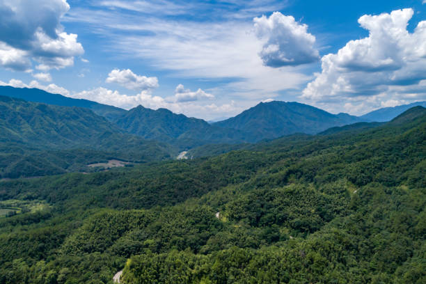 istock Blue sky and white clouds and green forest 1423485318