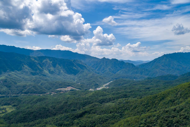 istock Blue sky and white clouds and green forest 1423485381