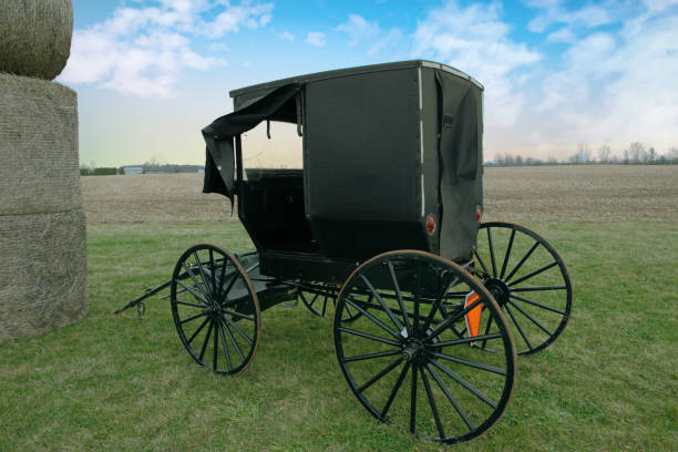 istock Amish Carriage-with hay bales-Hamilton County, Indiana 1423485470