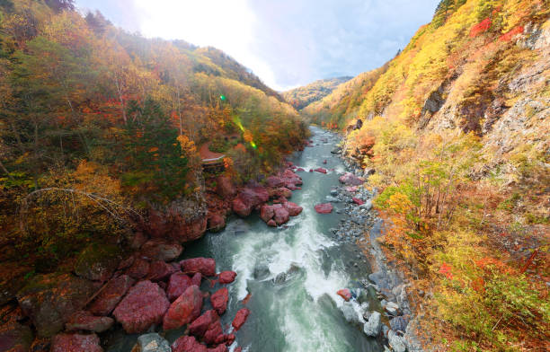 화창한 날, 홋카이도 유후츠의 시무카푸, 유후츠, 홋카이도에서 빠른 흐름의 강에 붉은 바위가 흩어져있는 아카이와 세이간 캐년 (akaiwa seigan canyon)의 산중턱에서 활기찬 가을 풍경 - hokkaido japan stream forest 뉴스 사진 이미지