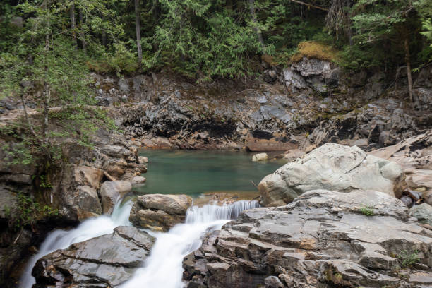 cascate nooksack - north cascades national park cascade range river waterfall foto e immagini stock