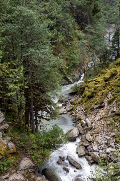 cascate nooksack - north cascades national park cascade range river waterfall foto e immagini stock