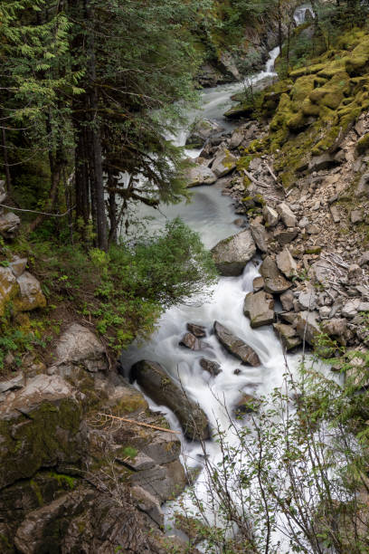 chutes nooksack - north cascades national park cascade range mt baker waterfall photos et images de collection