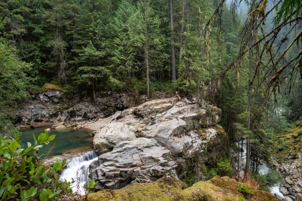 chutes nooksack - north cascades national park cascade range mt baker waterfall photos et images de collection