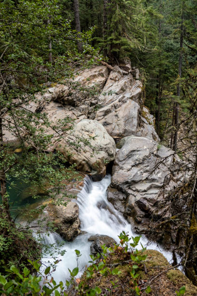 cascate nooksack - north cascades national park cascade range river waterfall foto e immagini stock