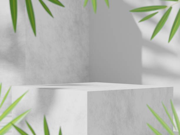 istock Abstract geometric composition with branch and shadow on the wall, Natural stone step pedestal. 3D render. Mock up for exhibitions. 1423503768