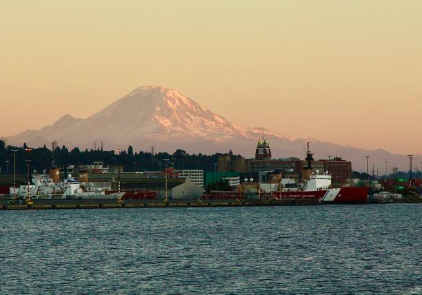 istock Mt. Rainier As Seen Above The Seattle Skyline 1423504619