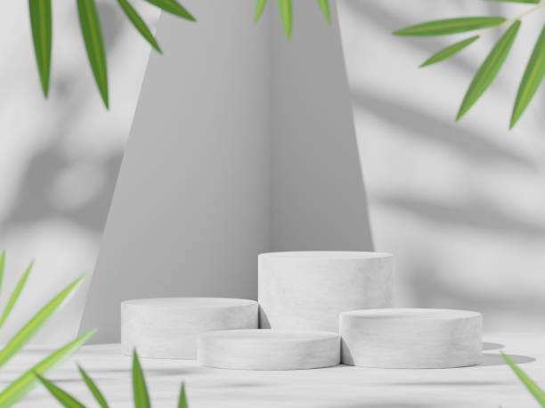istock Premium podium on pastel Background for product display, Abstract geometric composition with branch and shadow on the wall, 3D render. Mock up for exhibitions. Promotion. 1423504700