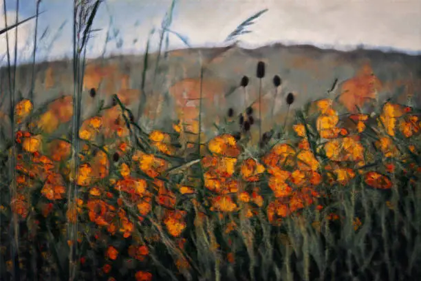 Field of orange and yellow flowers with a blue sky with a painted filter