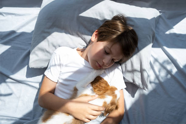 소년은 아침에 침대에 누워있는 포옹에서 개를 포옹합니다. 애완 동물과 함께 자십시오. 귀여운 강아지 기병대 왕 찰스 스패니얼 - child house dog bed 뉴스 사진 이미지